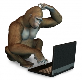 Prof hard at work.jpg
